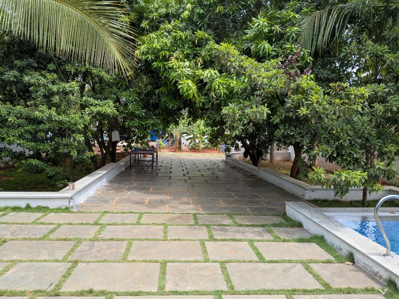 Outdoor View